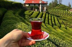 DOĞU KARADENİZ YAYLALARI VE BATUM TURU