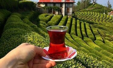 DOĞU KARADENİZ YAYLALARI VE BATUM TURU