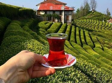 DOĞU KARADENİZ YAYLALARI VE BATUM TURU